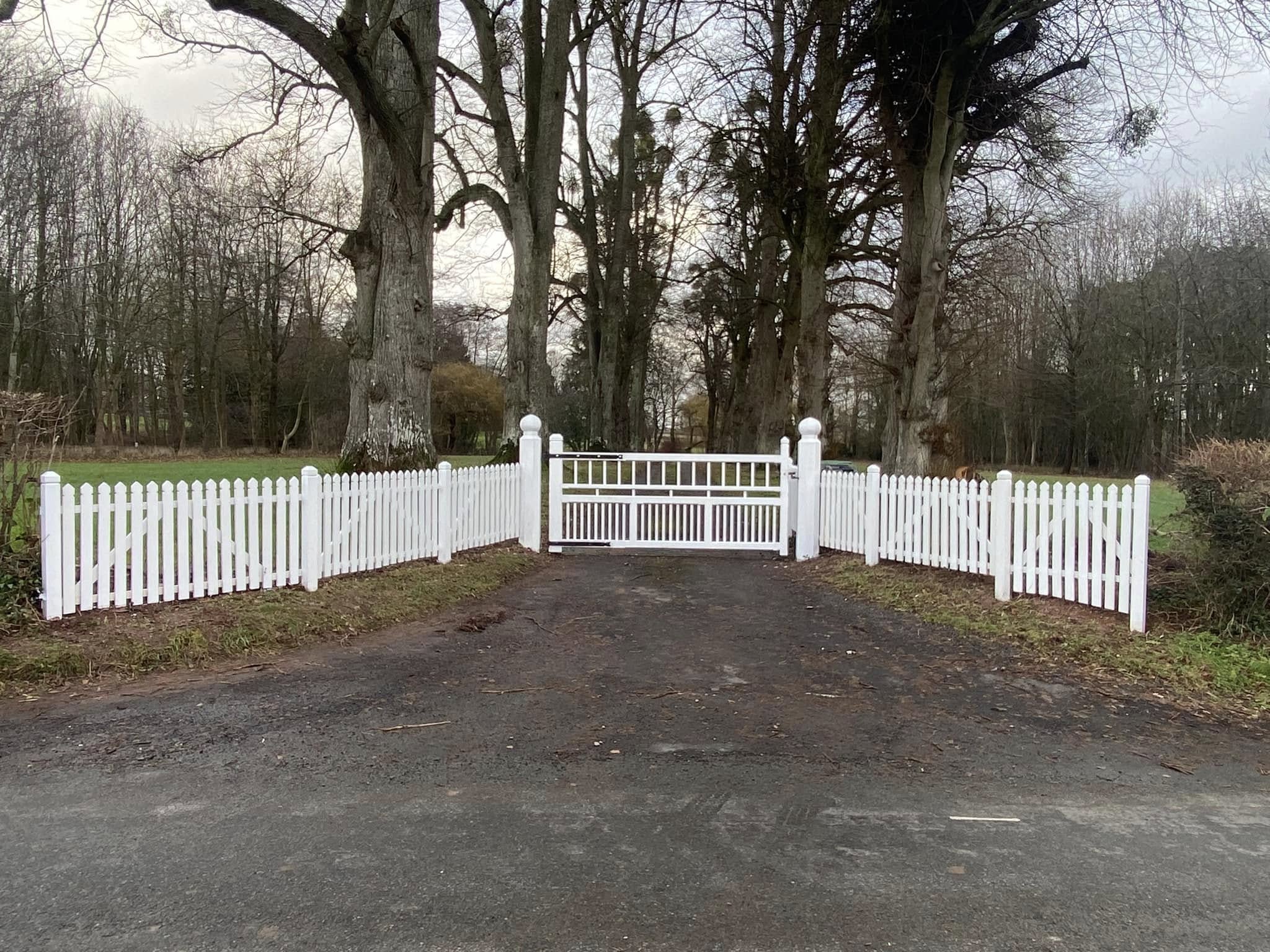 Fencing and gate
